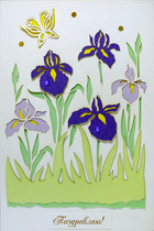 �������� 20-204